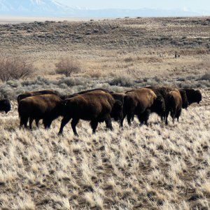 Meet your Posher, Steph